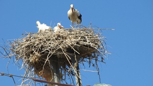 ???????????????????????????????