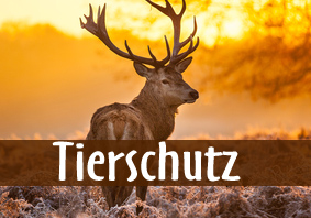 tierschutz