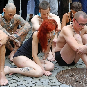 Czech Republic Israel Animal Rights