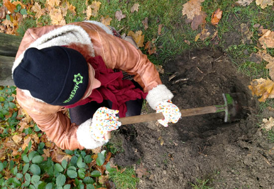 mitzvah_day_deutschland_2013_550