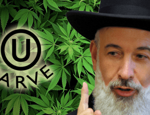 Rav_Efraim Zalmanovich