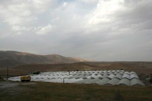 greenhouses in kibbutz Yitav