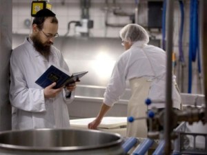 Koschere-Milchproduktion