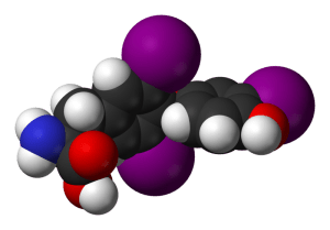 Thyroid hormone