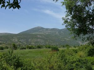 Landschaft beim Naturschutzgebiet Banyas (Banjas/Banias), Golanhöhen, Israel Foto: Grauesel