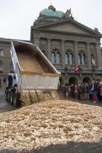 Münzen von einem Lastwagen werden sinnbildlich auf den Bundesplatz geleert. Bild: Keystone/Peter Klaunzer