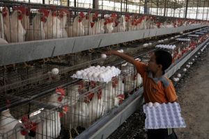 Europas Boykott tritt in Kraft