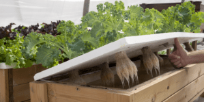 livingbox-996x497-568x283