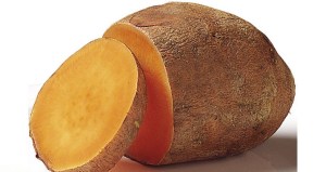 In Europa gibt es wieder Süßkartoffeln aus dem Gazastreifen zu kaufen. Foto: AlbertCahalan/Wikipedia | gemeinfrei