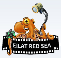 EilatRedSeaHeaderLogo