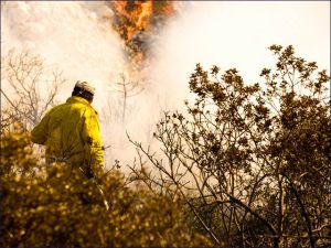 Die Tragödie des grossen Karmel-Waldbrandes im Jahr 2010