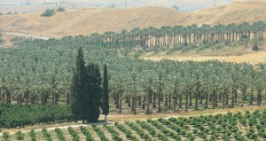 csm_42917_42919_12af88a005