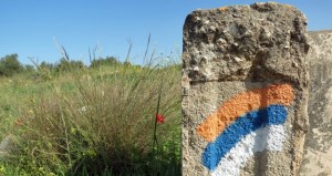 csm_49100_49508_ef64da4274