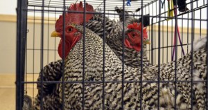 csm_56218_56224_a6fdcd8c7b